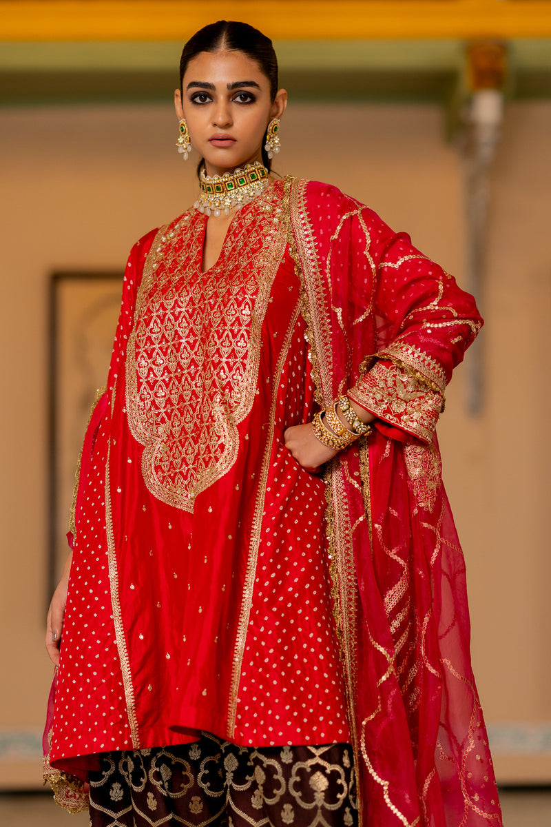 "RADHIKA" - Kurta Set