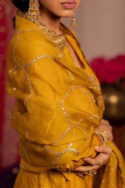 Mustard Organza Jaal Dupatta