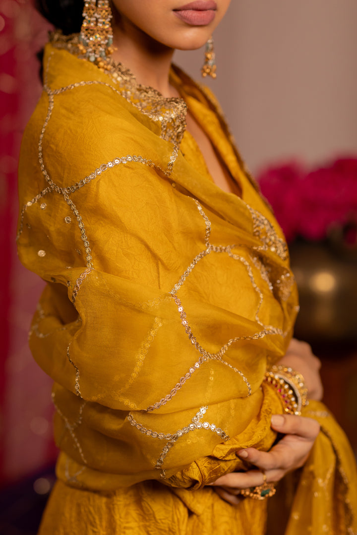 Mustard Organza Jaal Dupatta