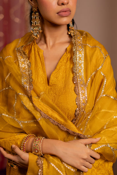 Mustard Organza Jaal Dupatta