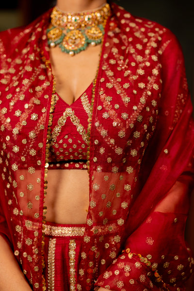 "AVNI" - MAROON LEHENGA SET