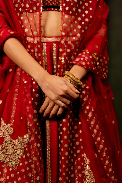 "AVNI" - MAROON LEHENGA SET