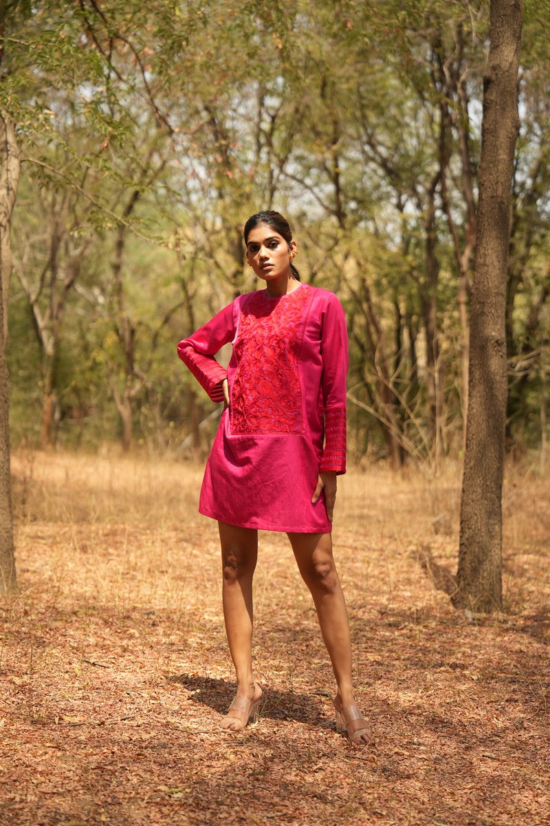 Parinde Pink Embroidered Dress