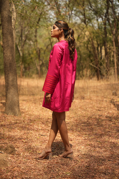 Parinde Pink Embroidered Dress